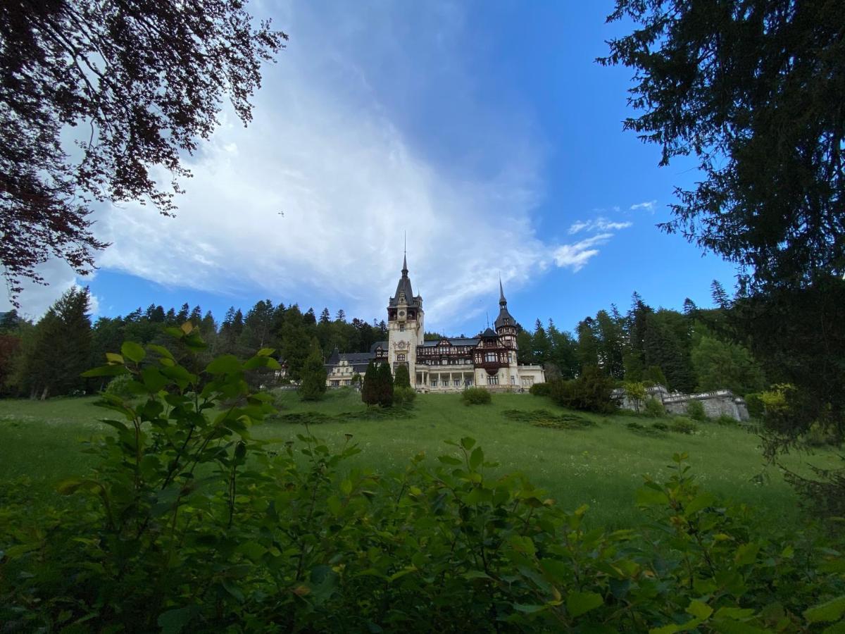 Vila De Argint Aleea Pelesului Nr 2 Sinaia Kültér fotó
