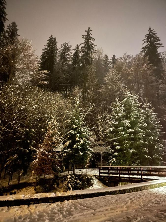Vila De Argint Aleea Pelesului Nr 2 Sinaia Kültér fotó