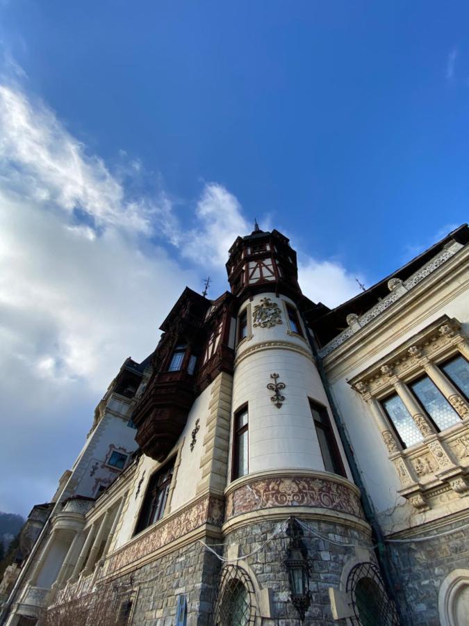 Vila De Argint Aleea Pelesului Nr 2 Sinaia Kültér fotó