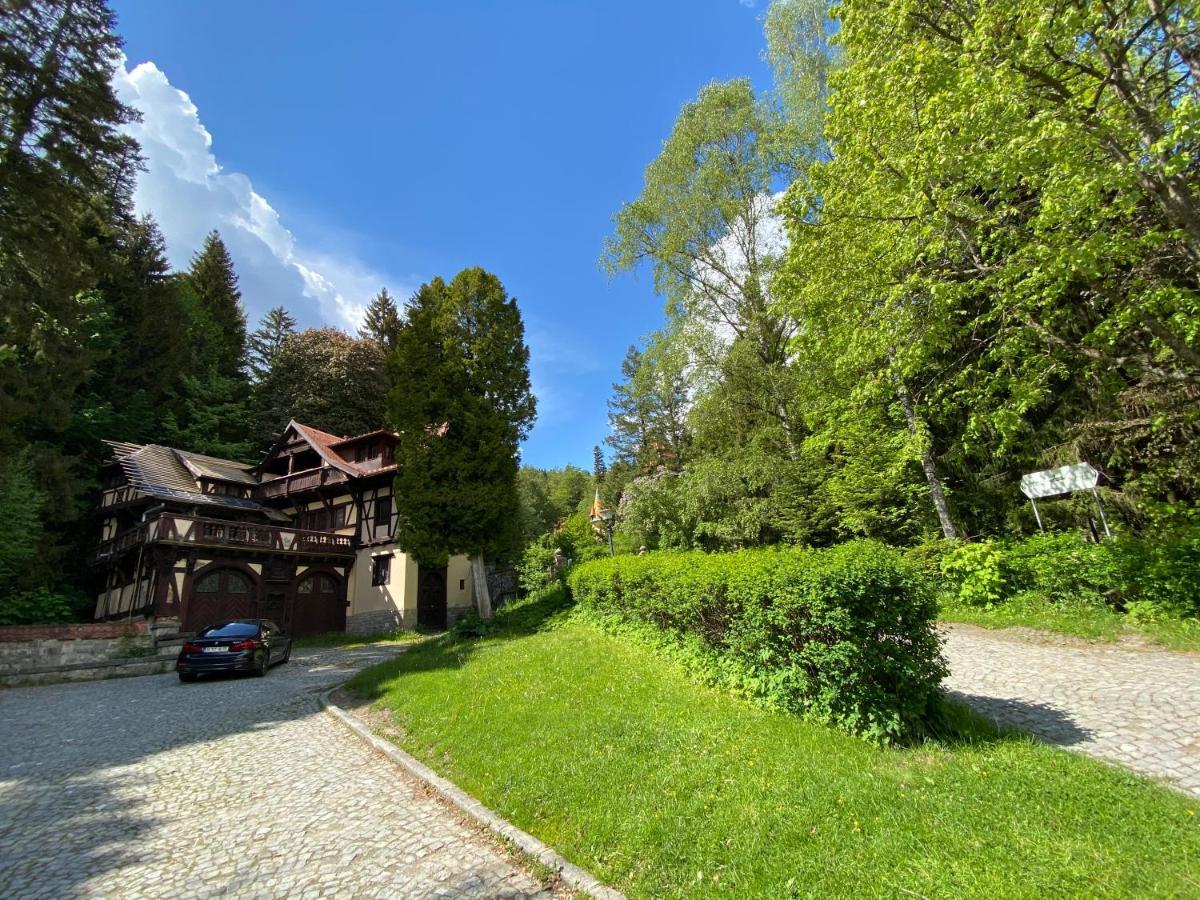 Vila De Argint Aleea Pelesului Nr 2 Sinaia Kültér fotó