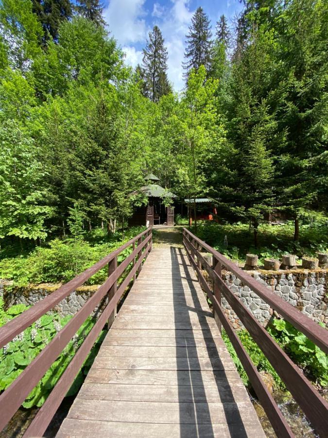 Vila De Argint Aleea Pelesului Nr 2 Sinaia Kültér fotó