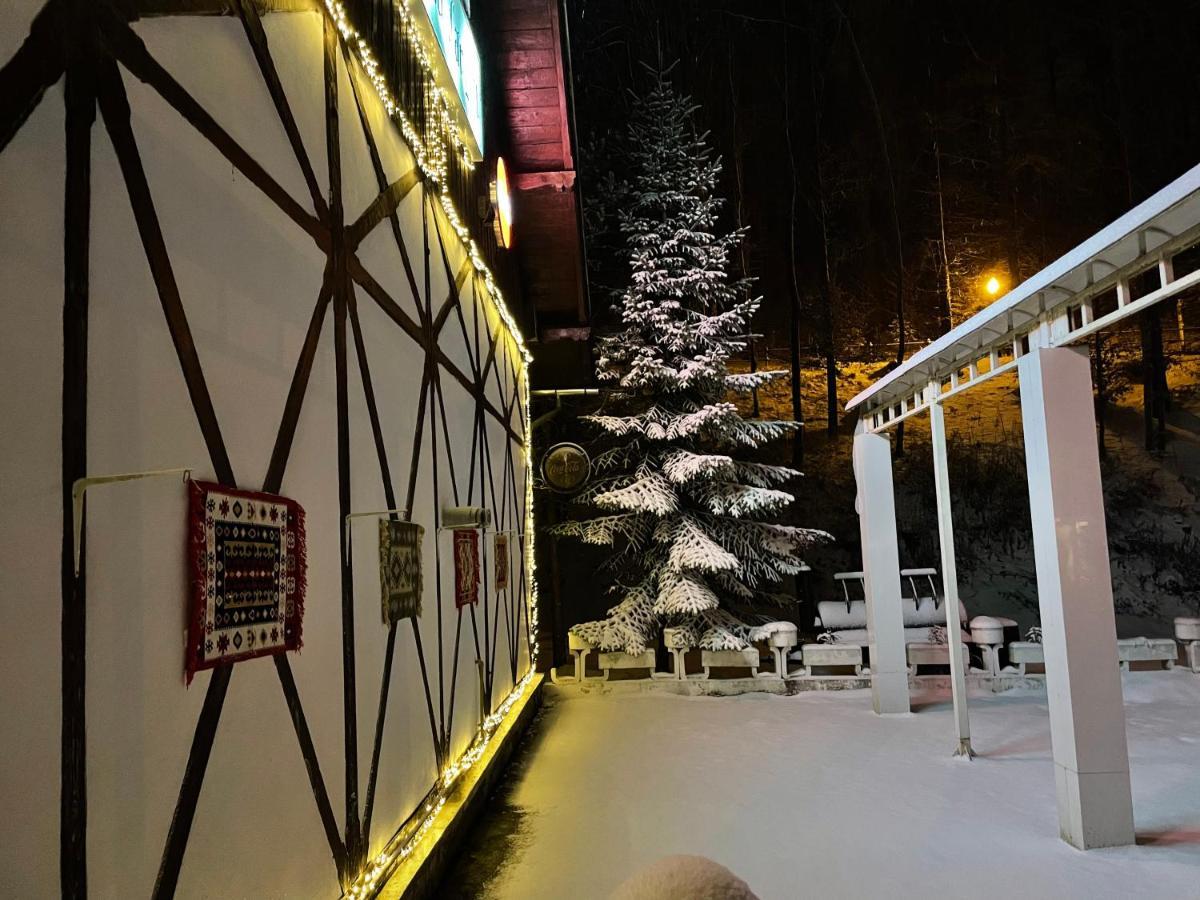 Vila De Argint Aleea Pelesului Nr 2 Sinaia Kültér fotó