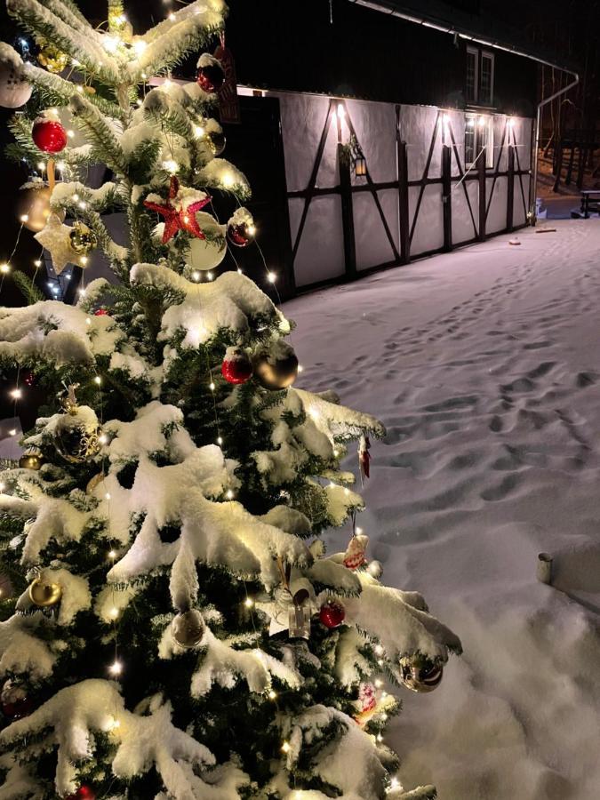 Vila De Argint Aleea Pelesului Nr 2 Sinaia Kültér fotó