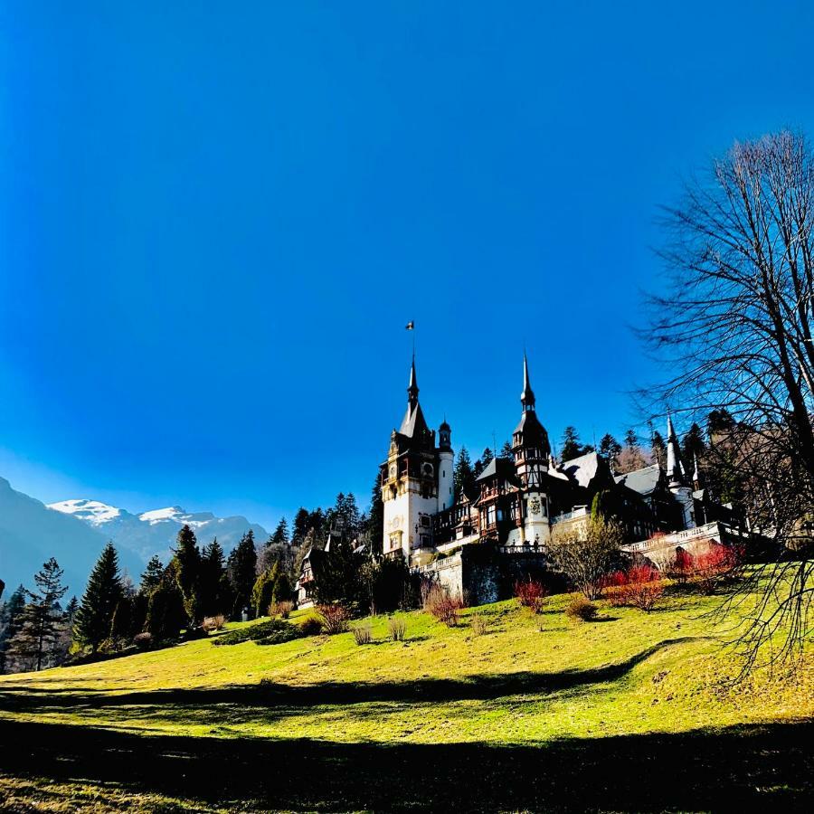 Vila De Argint Aleea Pelesului Nr 2 Sinaia Kültér fotó