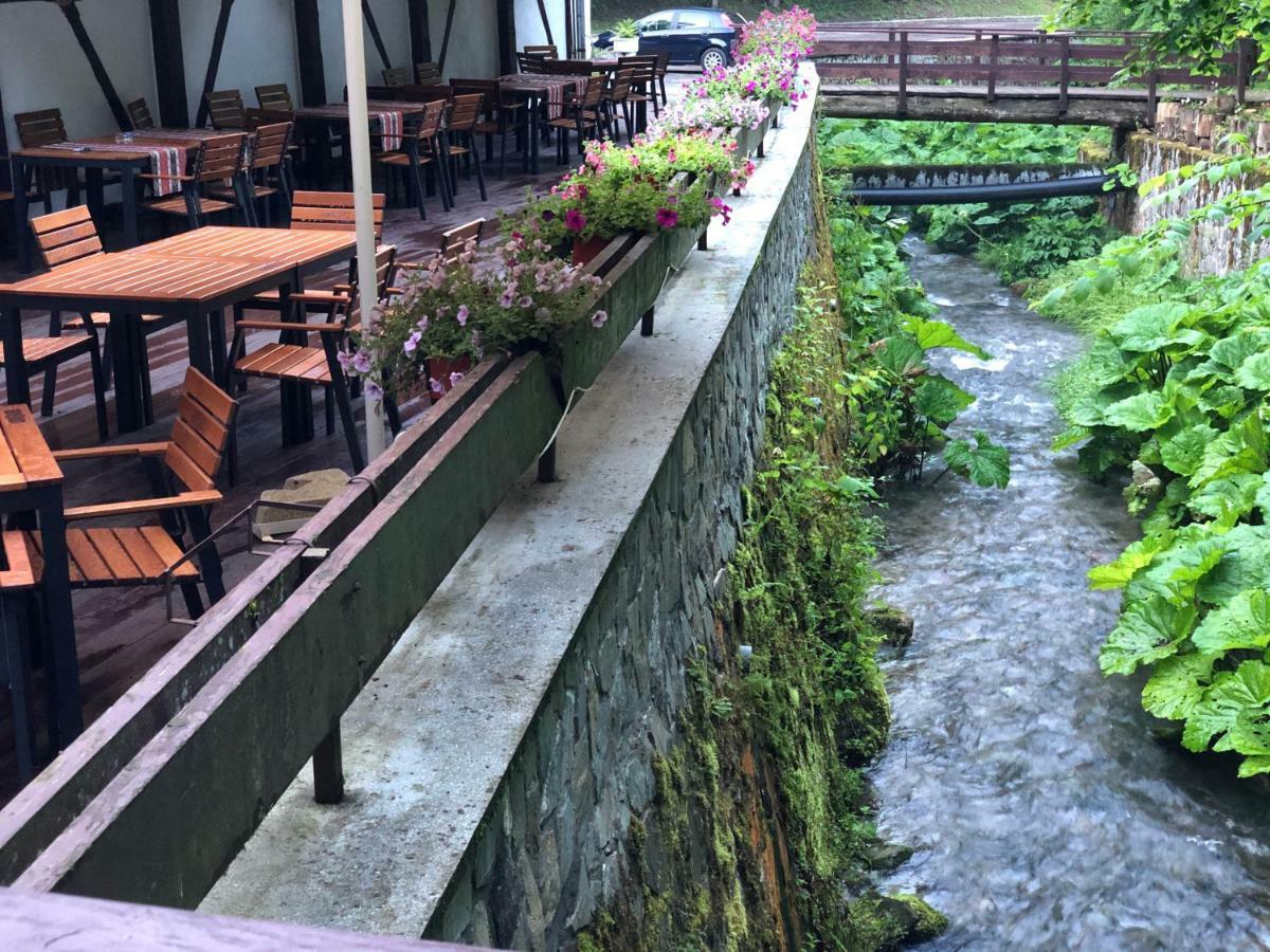 Vila De Argint Aleea Pelesului Nr 2 Sinaia Kültér fotó