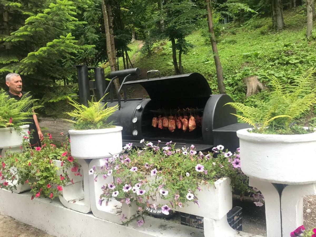 Vila De Argint Aleea Pelesului Nr 2 Sinaia Kültér fotó