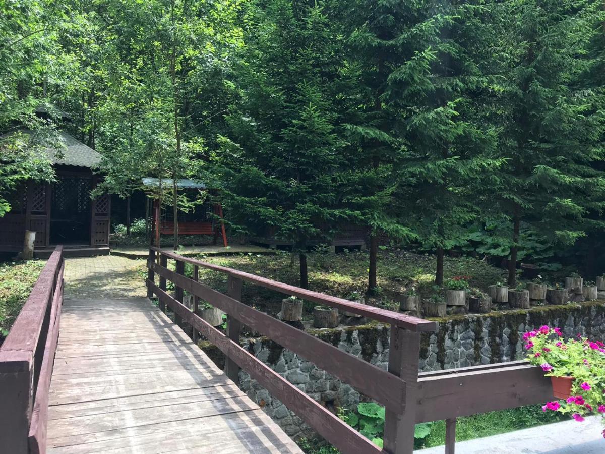 Vila De Argint Aleea Pelesului Nr 2 Sinaia Kültér fotó